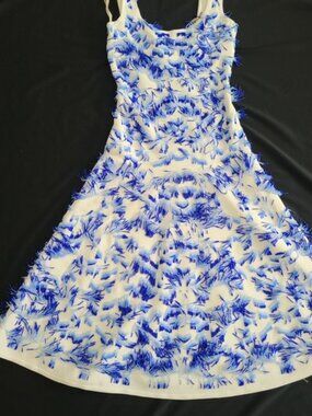 Herve Leger Blue and White Midi Dress